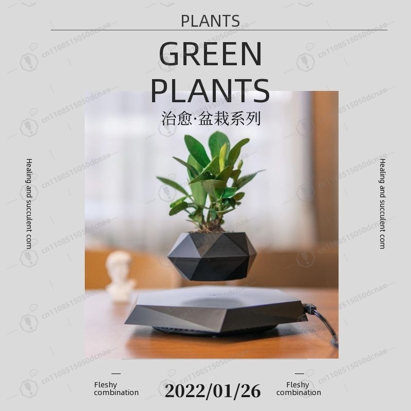 Magnetic Levitation Flower Pot – Bonsai.Tech Office recenzja i cena