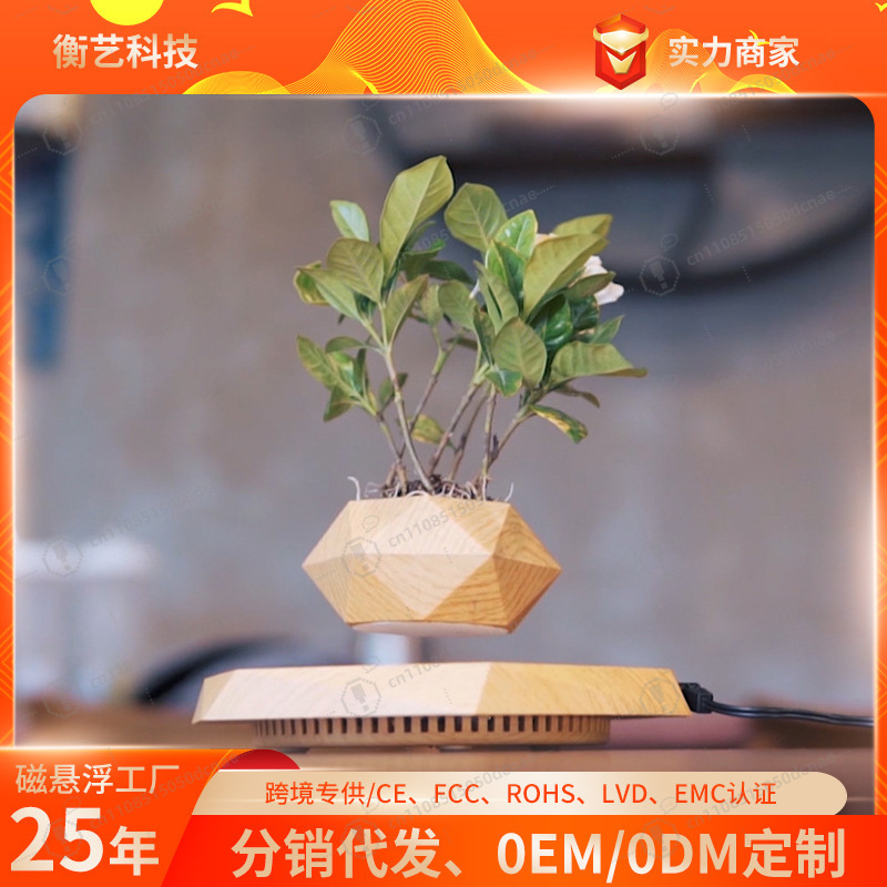 Magnetic Levitation Flower Pot – Bonsai.Tech Office recenzja i cena