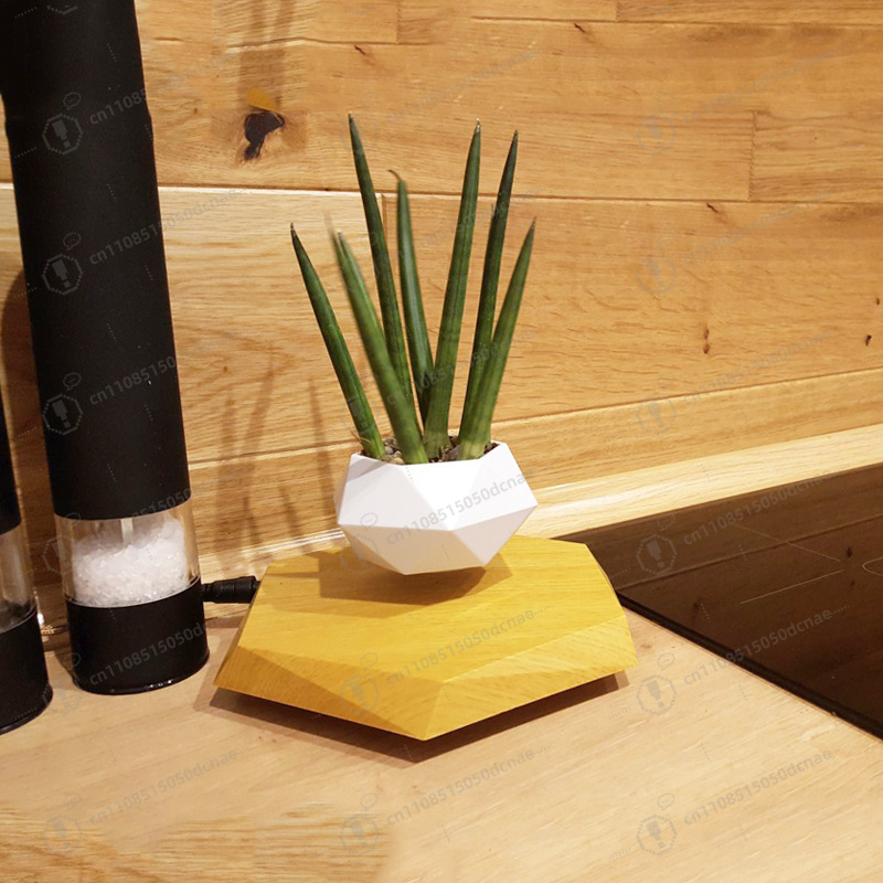 Magnetic Levitation Flower Pot – Bonsai.Tech Office recenzja i cena