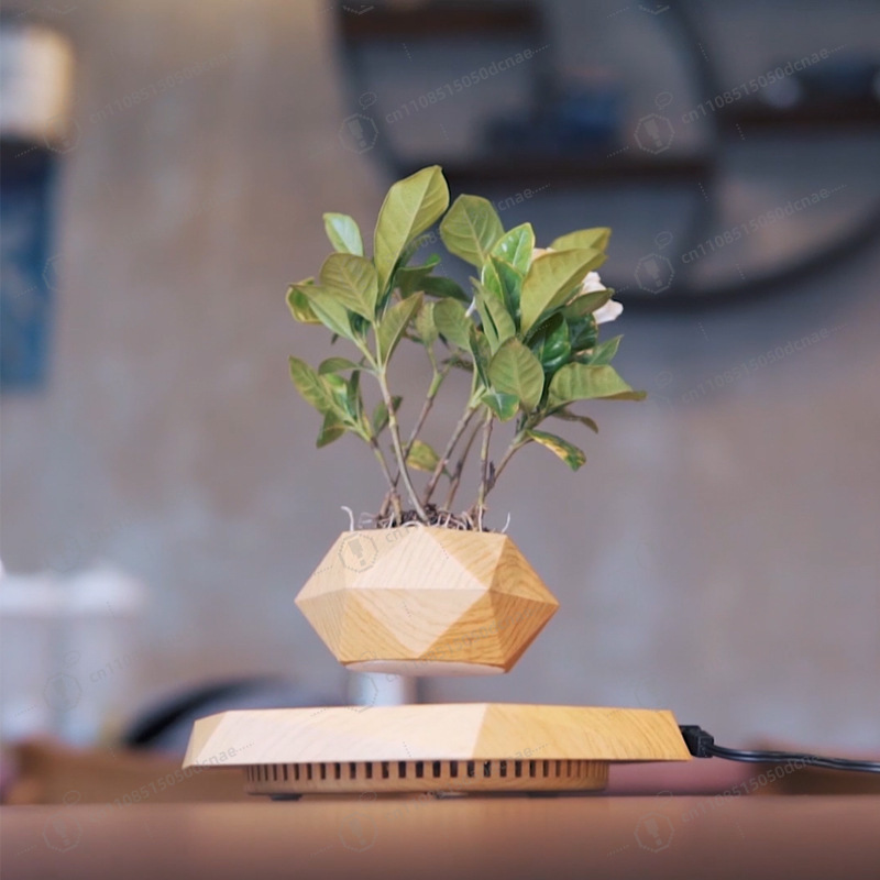 Magnetic Levitation Flower Pot – Bonsai.Tech Office recenzja i cena